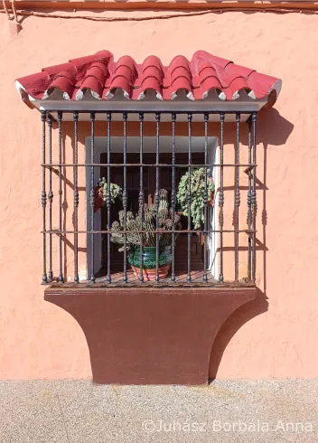Kaktusz börtön